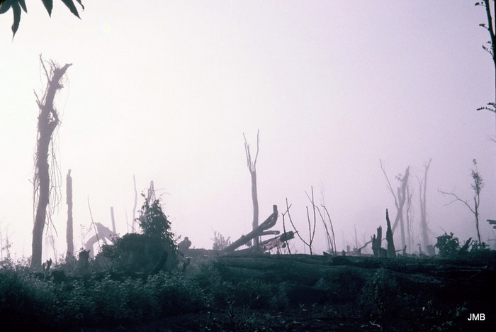 AÑO 1974 - COLOR - VIDA CAMPESINA EN PARAGUAY (JOSÉ MARÍA BLANCH)